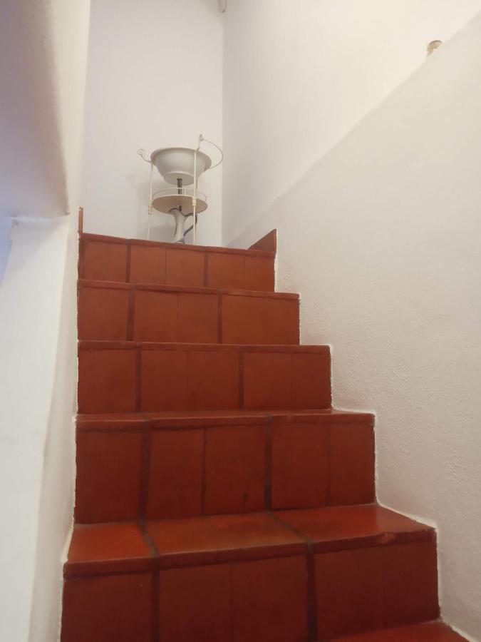 Villa Monte Da Samarra Avis Exterior foto